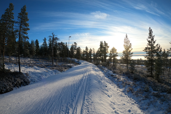 Finaveler